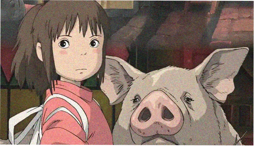 热播